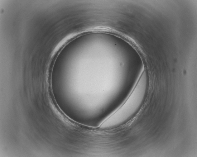 X0000085841422200703161044
