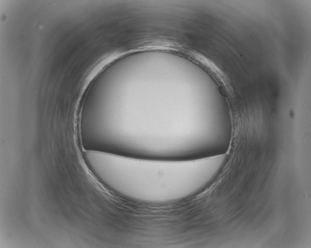 X0000085841423200703161044
