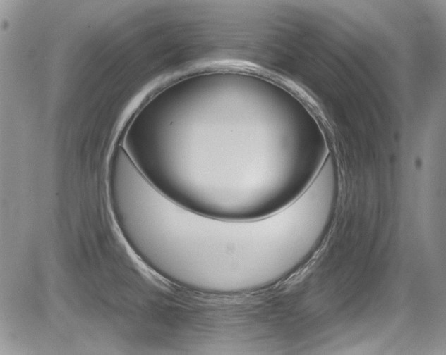 X0000085841430200703161044