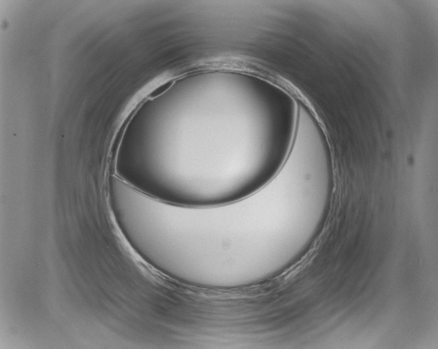 X0000085841434200703161044