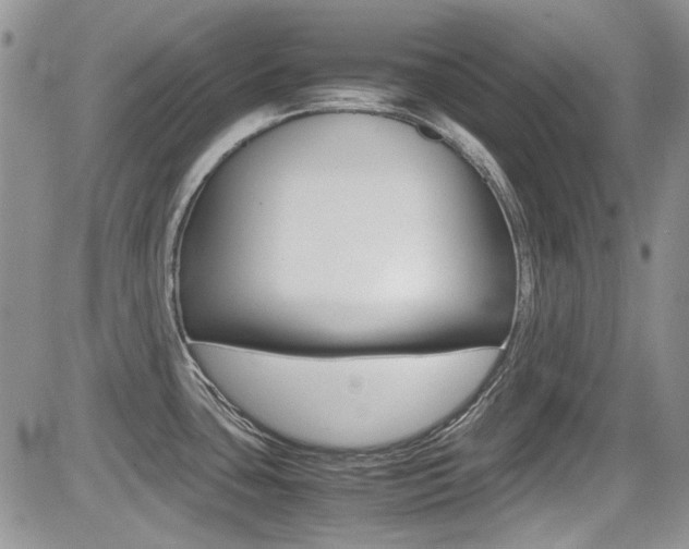 X0000085841435200703161044