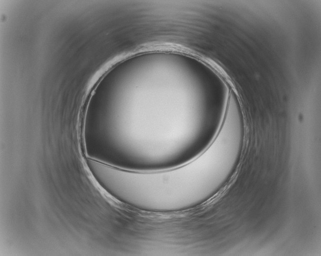 X0000085841438200703161044