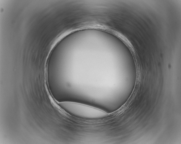 X0000085841439200703161044