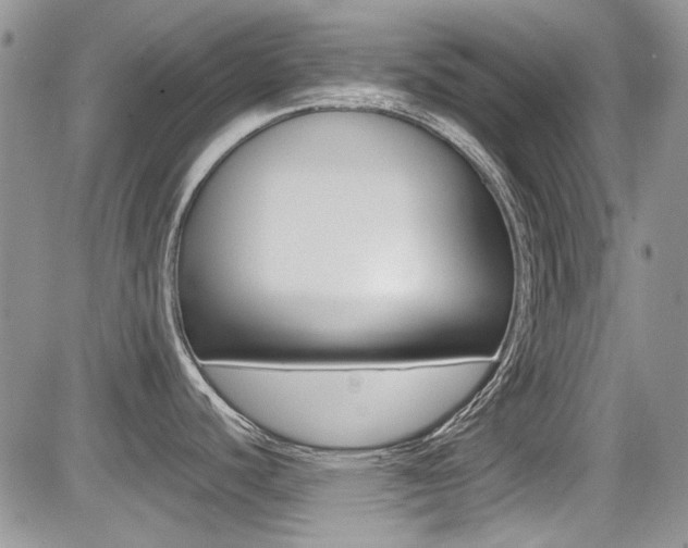 X0000085841440200703161044