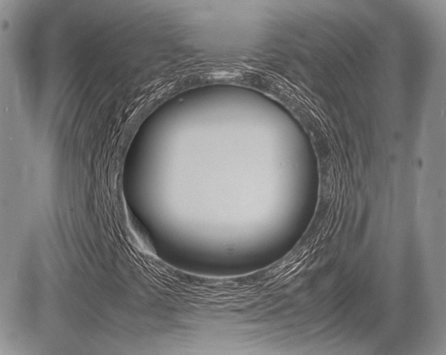 X0000085841441200703161043
