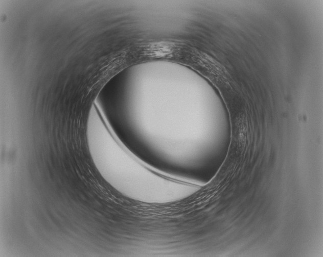 X0000085841442200703161043