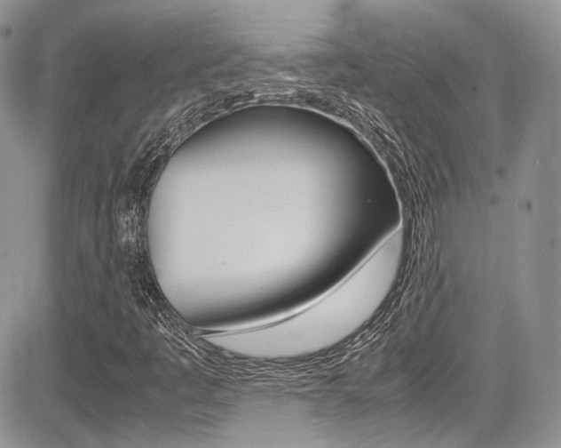 X0000085841445200703161043
