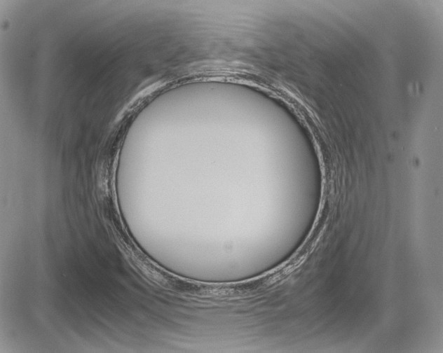 X0000085841451200703161043
