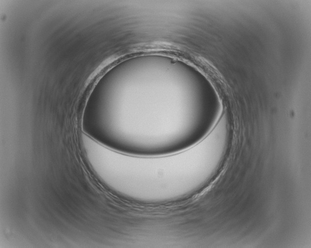 X0000085841457200703161043