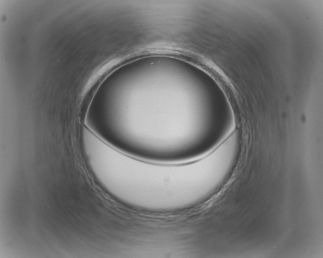 X0000085841461200703161043