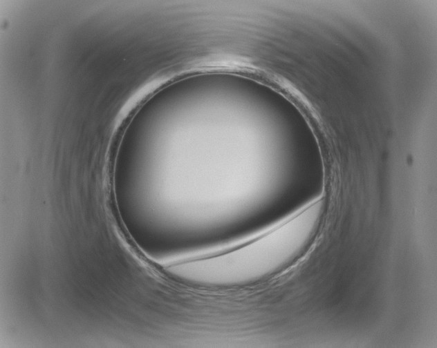 X0000085841469200703161043