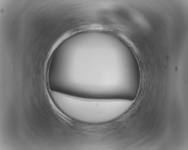 X0000085841475200703161043
