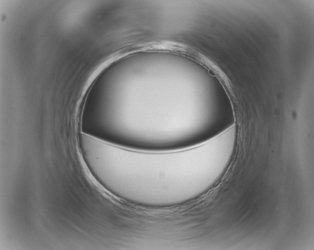 X0000085841483200703161043