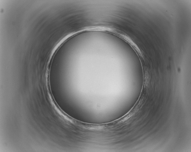 X0000085841484200703161043