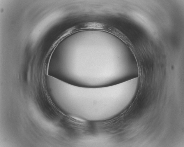 X0000085841487200703161043