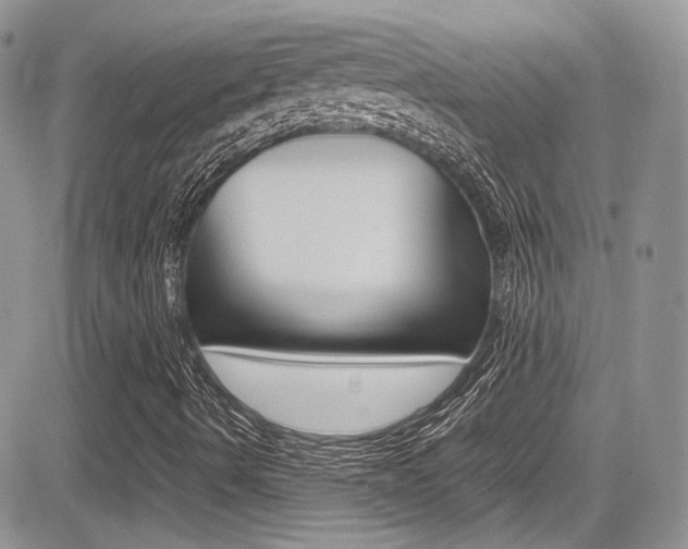 X0000085841490200703161042