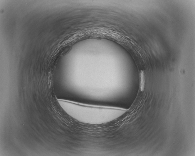 X0000085841491200703161042