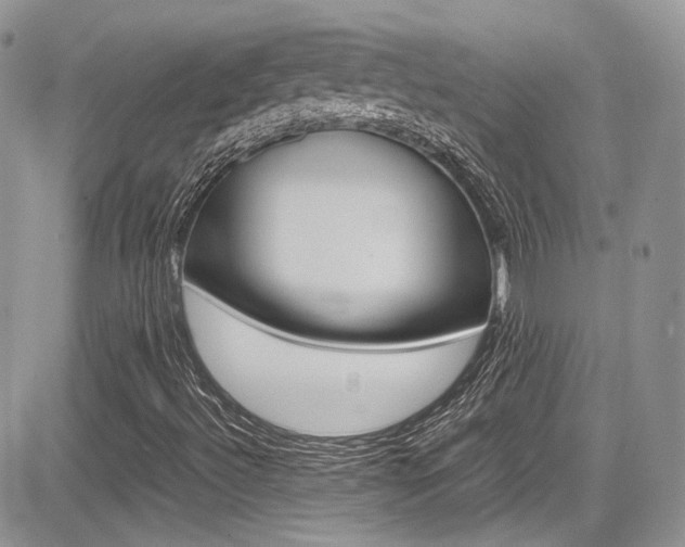 X0000085841492200703161042