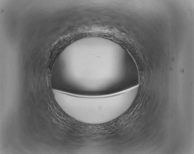 X0000085841493200703161042
