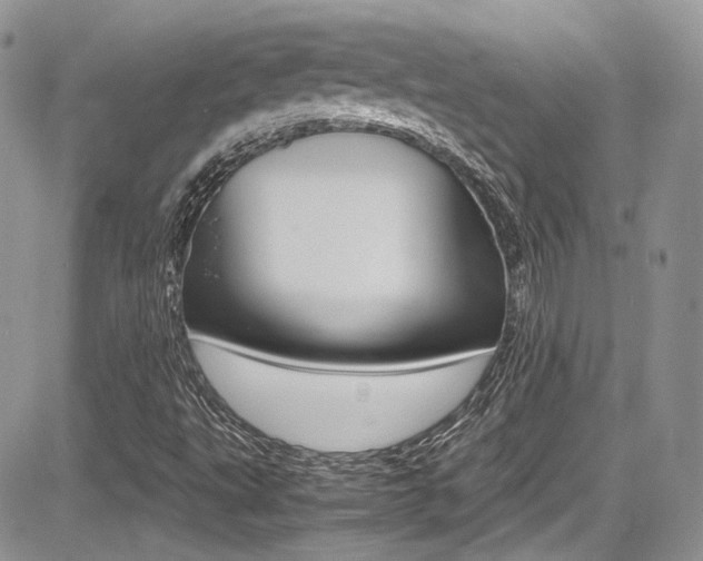 X0000085841495200703161042
