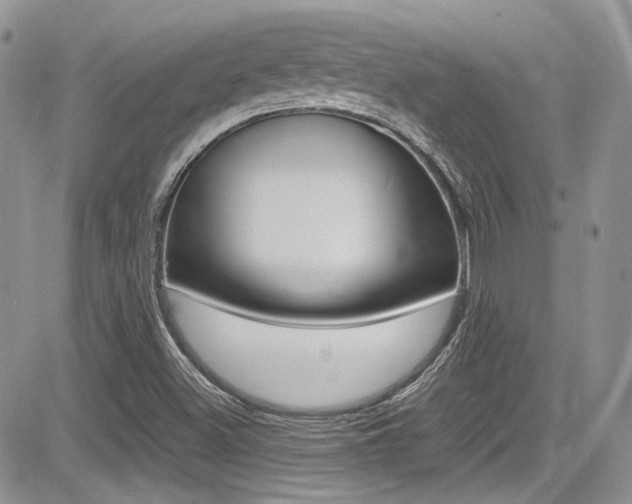X0000085841500200703161042