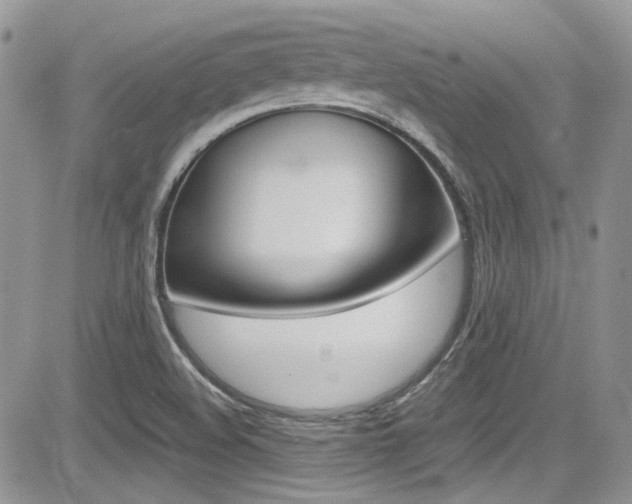 X0000085841508200703161042