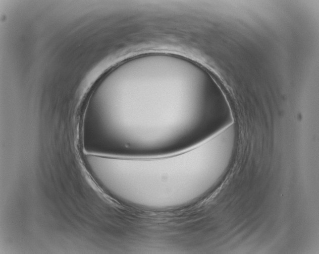 X0000085841511200703161042