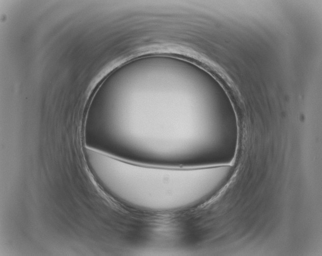 X0000085841513200703161042