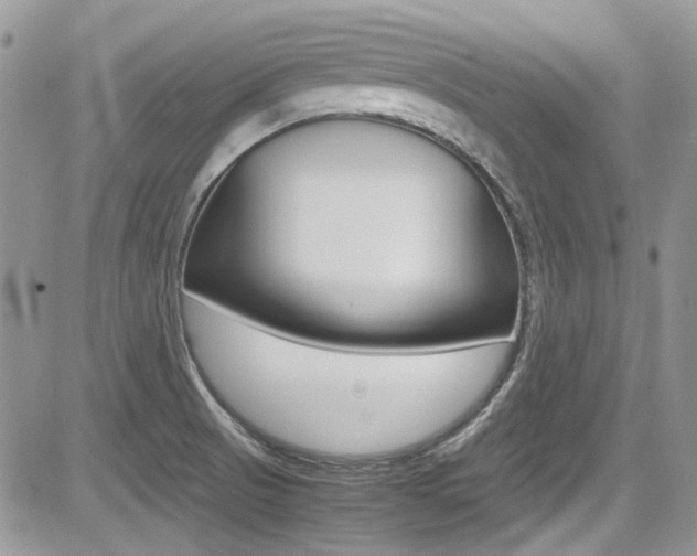 X0000085841521200703161042