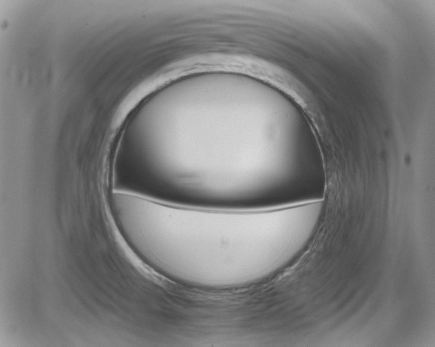 X0000085841523200703161042