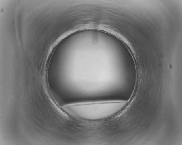 X0000085841525200703161042