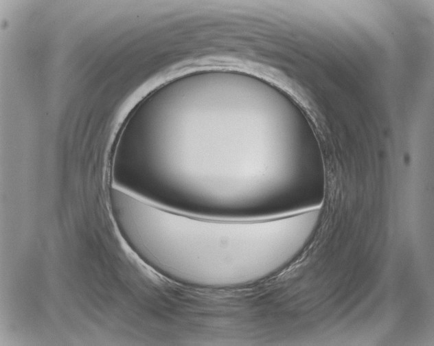 X0000085841527200703161042
