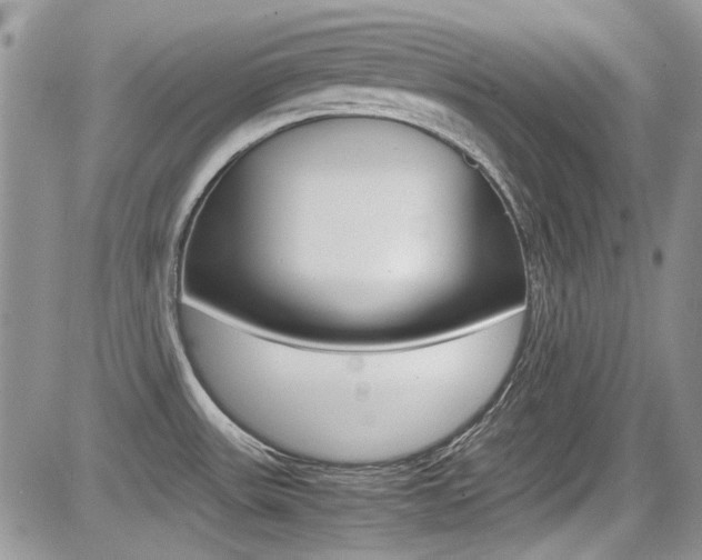X0000085841531200703161042