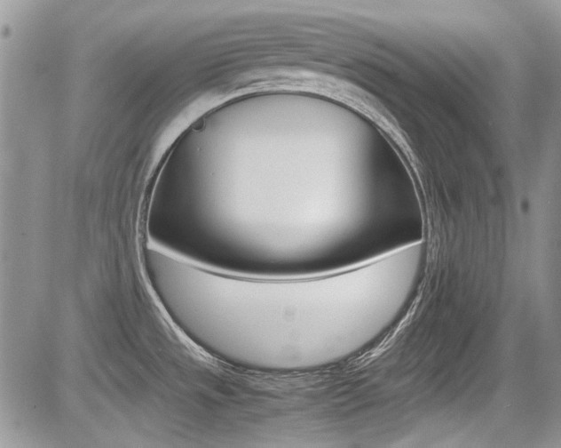 X0000085841533200703161042