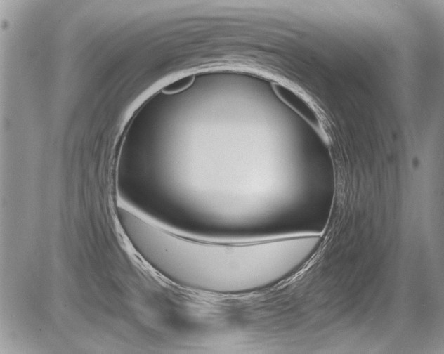 X0000085841534200703161043