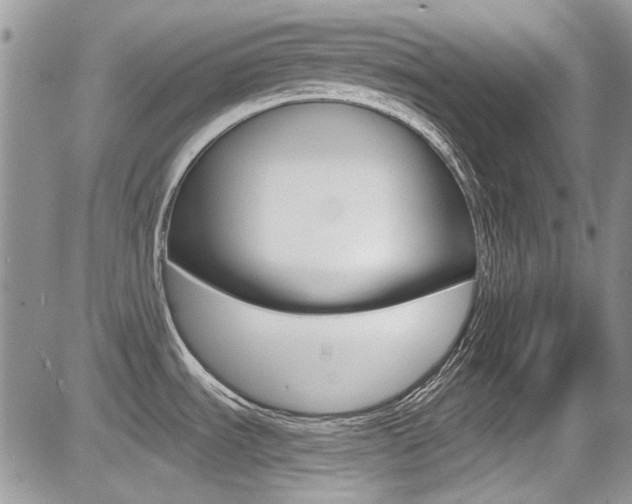 X0000085841535200703161043