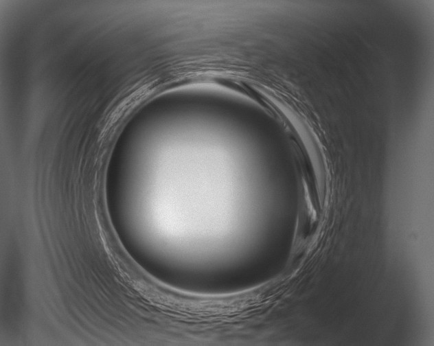 X0000085840001200703161403