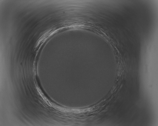 X0000085840002200703161403