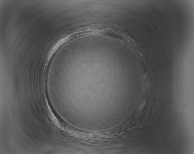 X0000085840003200703161403