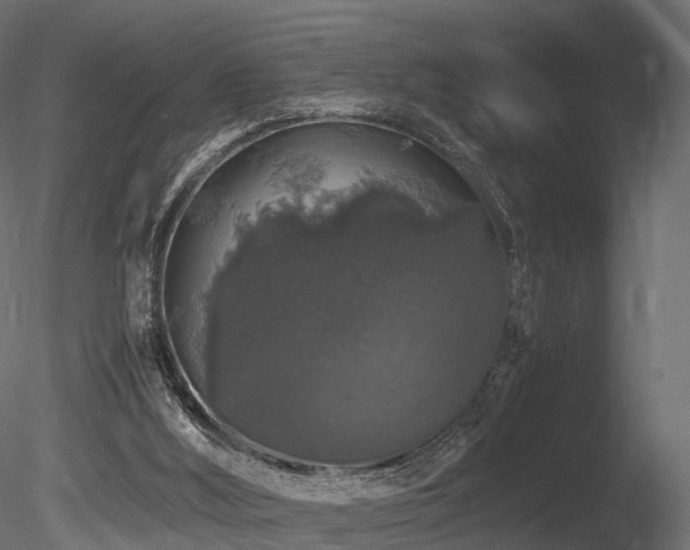 X0000085840012200703161403