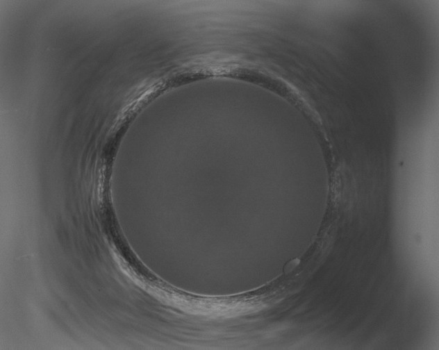 X0000085840018200703161403