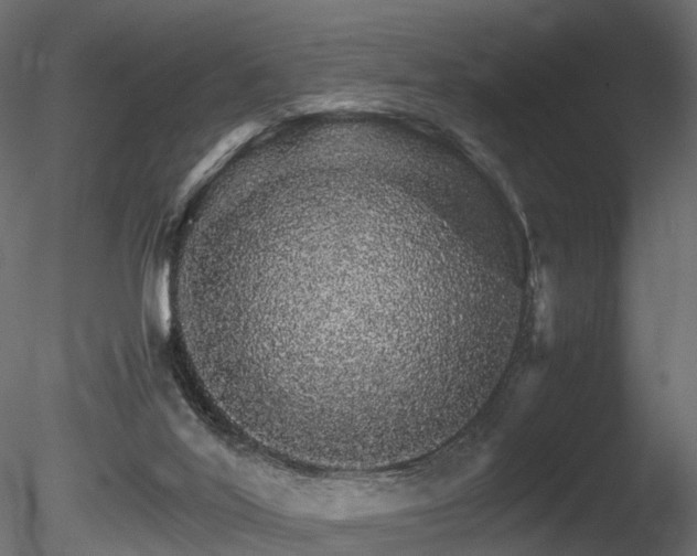 X0000085840020200703161403