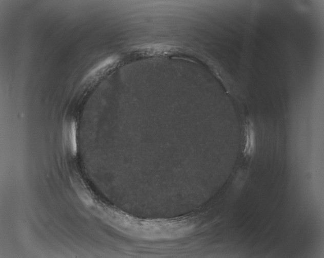 X0000085840022200703161403