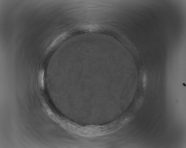 X0000085840024200703161403
