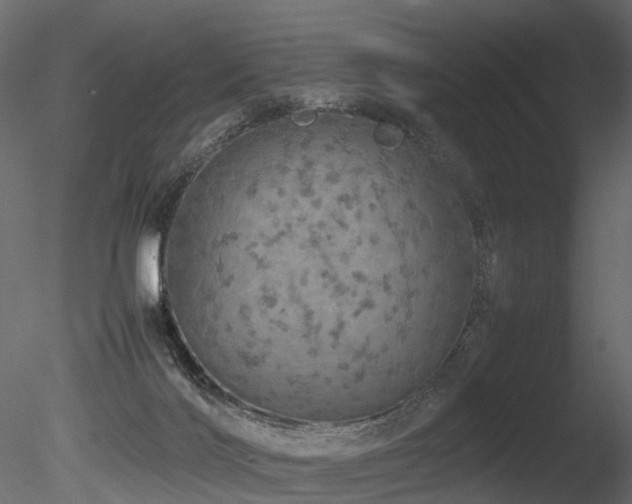 X0000085840028200703161403