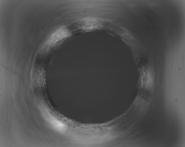 X0000085840029200703161403