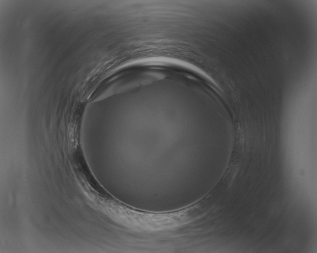 X0000085840031200703161403