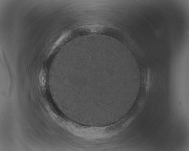 X0000085840032200703161403