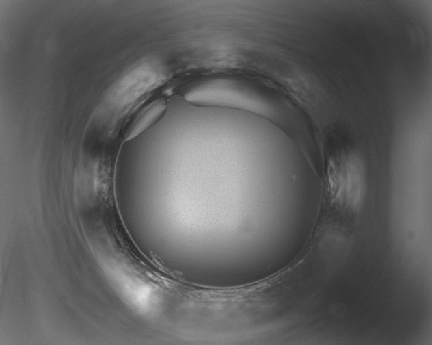 X0000085840033200703161403