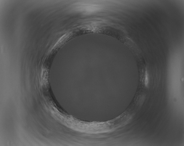 X0000085840036200703161403